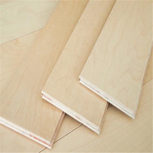 木地板 枫木运动木地板