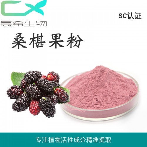 厂家直销桑葚粉 桑葚果粉99%桑葚果汁粉 1kg起订全国包邮