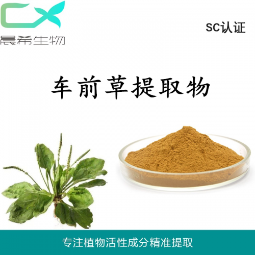 厂家直销车前草提取物10：1车前草粉1kg起订现货包邮