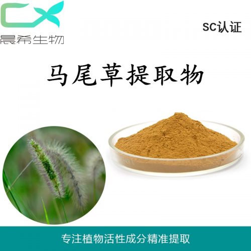 厂家直销马尾草提取物10：1马尾草粉水溶或醇溶现货包邮