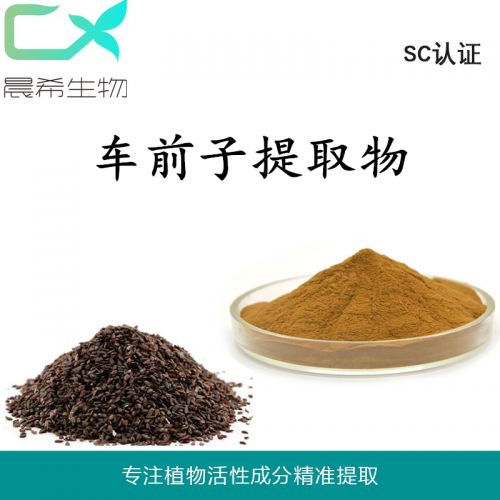 厂家直销车前子提取物 车前子粉 浸膏粉1kg起订现货包邮
