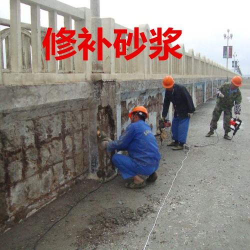 聚合物水泥砂浆 聚合修补砂浆