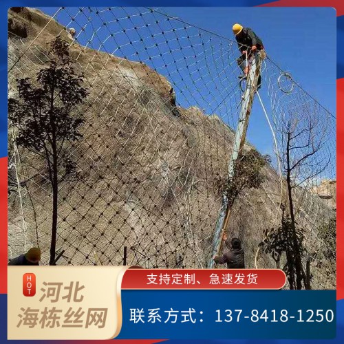 被动防护网  边坡防护网厂家  价格