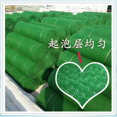 温州三维植被网厂家