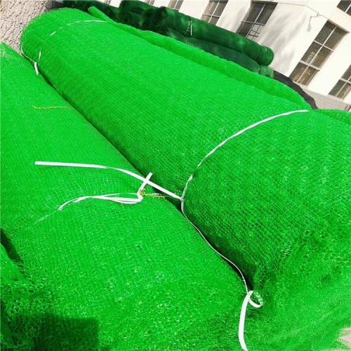 惠州三维植被网 三维网厂家