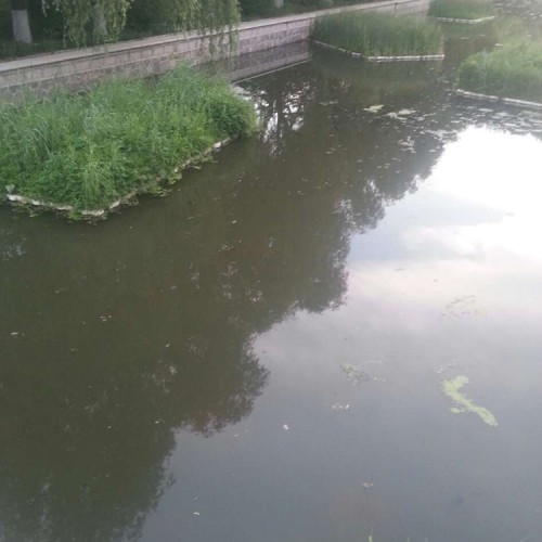 专业水生态修复 水环境治理