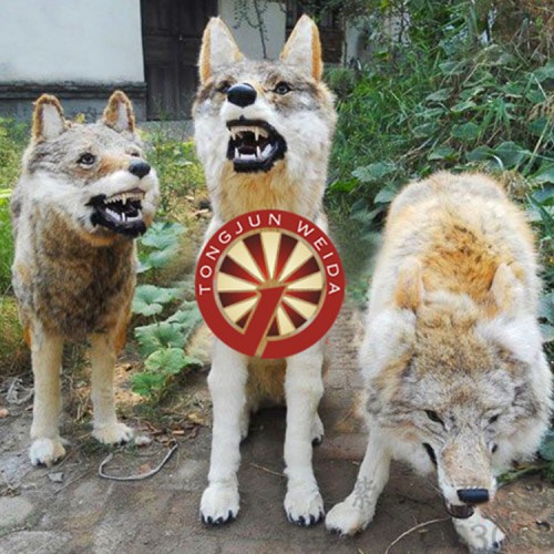 动物王国游乐设备