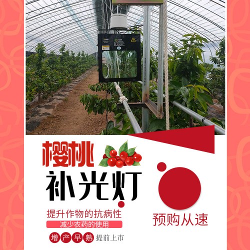 樱桃专用补光灯
