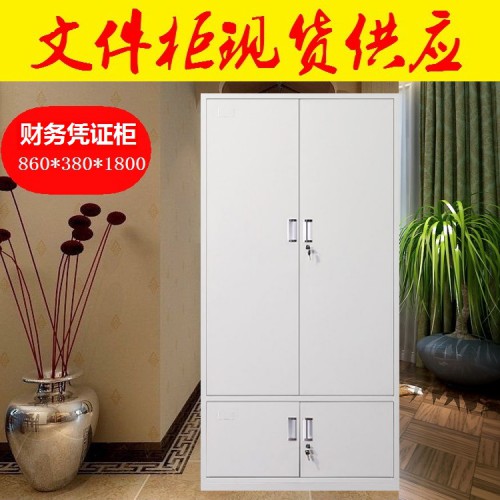 文件柜 财务凭证柜 二门财务凭证柜