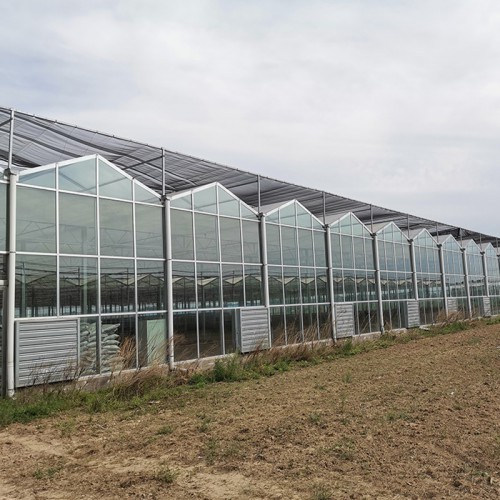 厂家定制 连栋温室大棚建造商 连栋温室大棚工程 连栋温室厂家