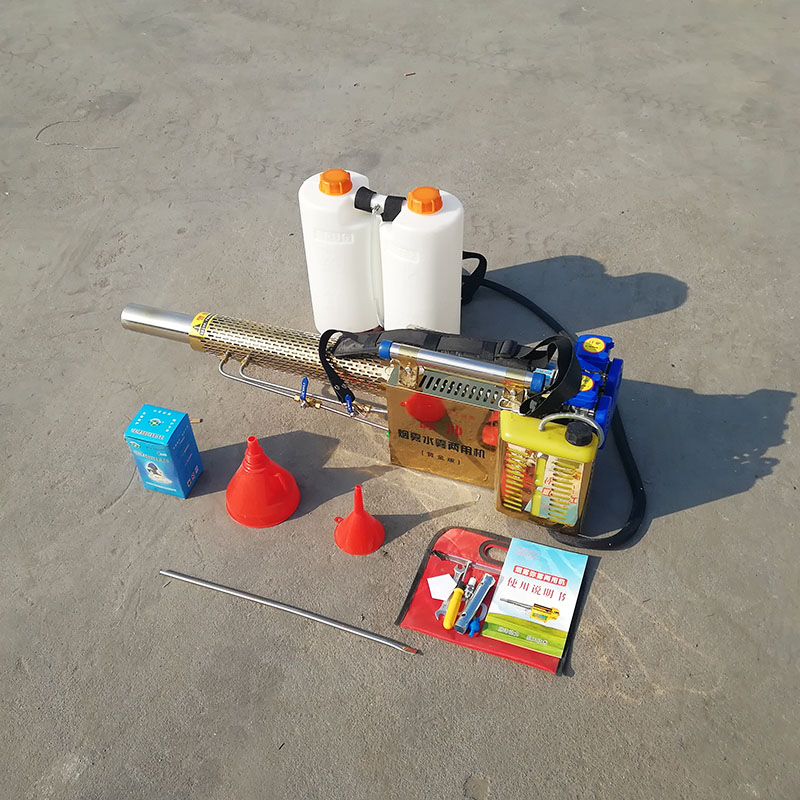 Summer beach concept