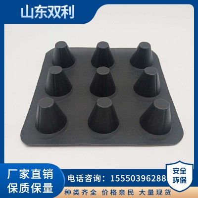 排水板  排水板厂家 楼顶绿化排水板