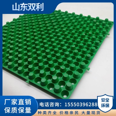 双面蓄排水板 双面凹凸蓄排水板 厂家直销