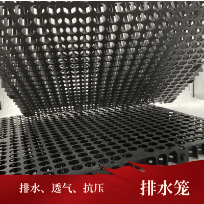 山东集水笼 塑料T型排水笼  加强型排水板厂家