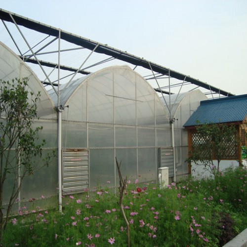 连栋薄膜温室建设步骤 连栋薄膜温室工程 薄膜温室骨架设计
