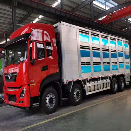猪苗运输车 东风 9米6铝合金运猪车