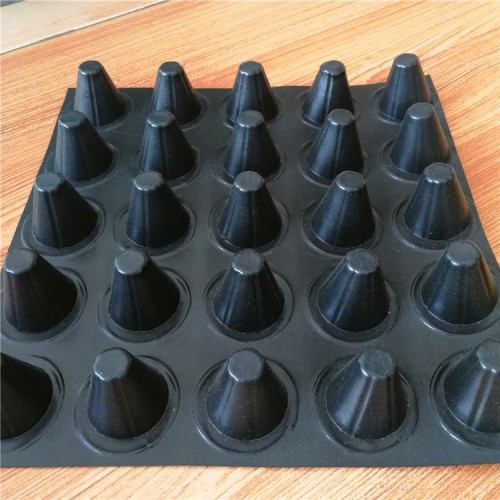 黑色排水板 屋顶绿化排水板