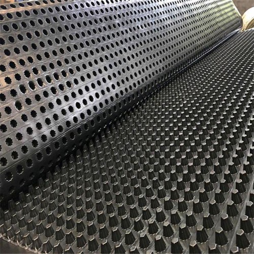 3公分排水板   H30mm排水板