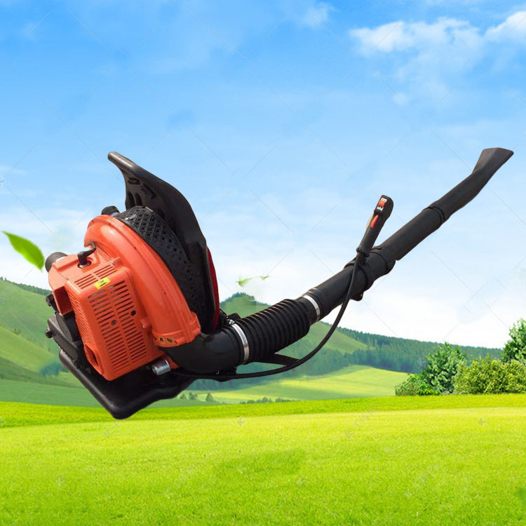 Summer beach concept