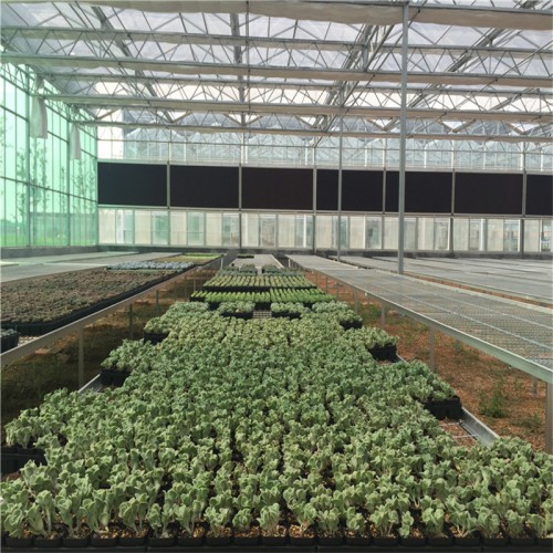 定制温室大棚工程 花卉温室大棚承建商 温室大棚配件厂家