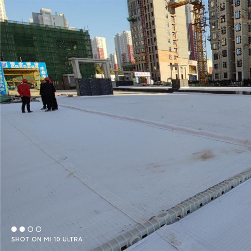 高分子防护排水异形片 车库顶板绿化排水板