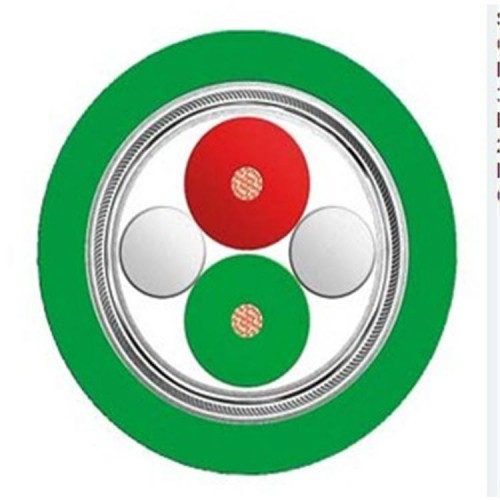 西们子DP电缆代理商