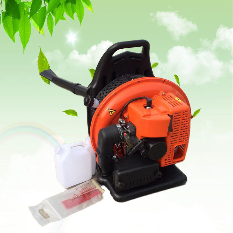 Summer beach concept