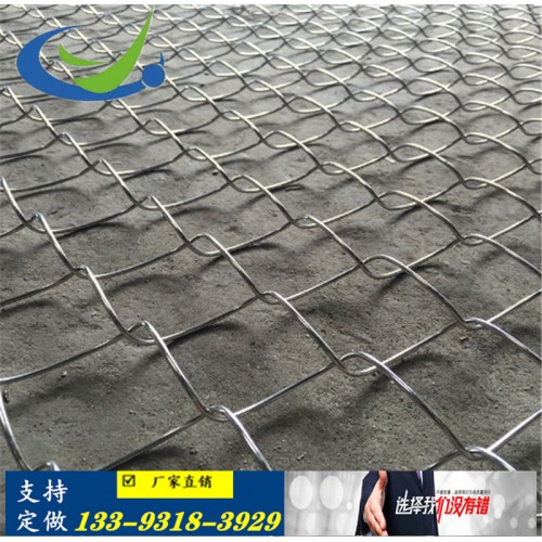 镀锌勾花网 植草铁丝网