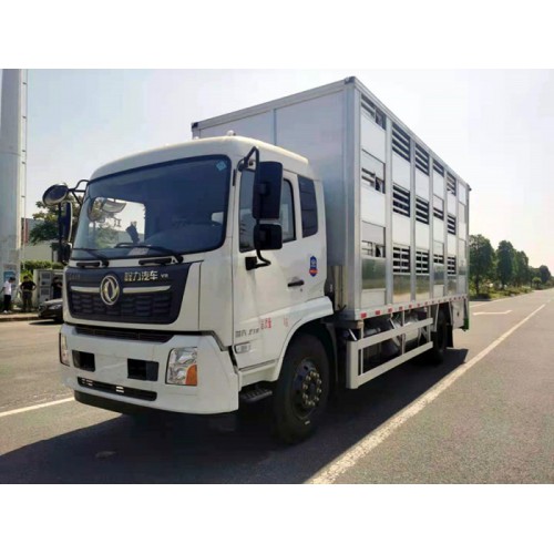 东风 6米8铝合金猪苗车 国六铝合金猪苗车 厂家直供