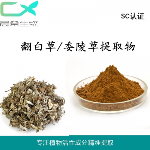 厂家翻白草、委陵草提取物全水溶或醇溶起订量1KG现货包邮