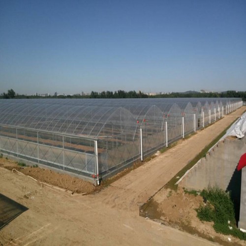 厂家定制 连栋温室大棚工程 连栋温室大棚承建商 温室骨架