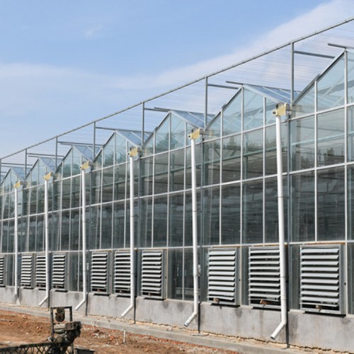 蔬菜温室大棚承建商 温室大棚骨架设计 温室大棚造价成本