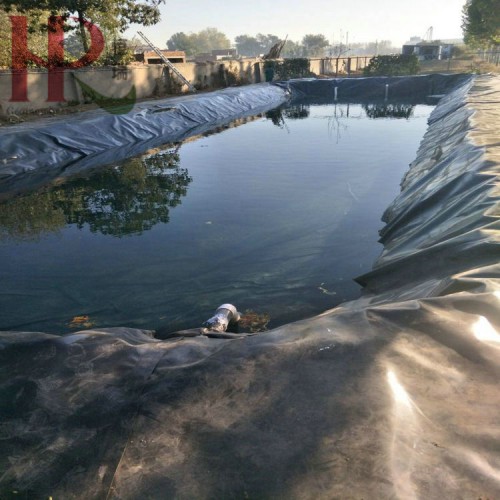 短纤土工布0.7mm防渗膜养猪场1.2mm沼液池防渗膜工程