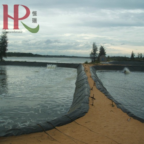 黑膜沼气池0.6mm土工膜水产养殖池防渗1.5mm防渗膜厂家