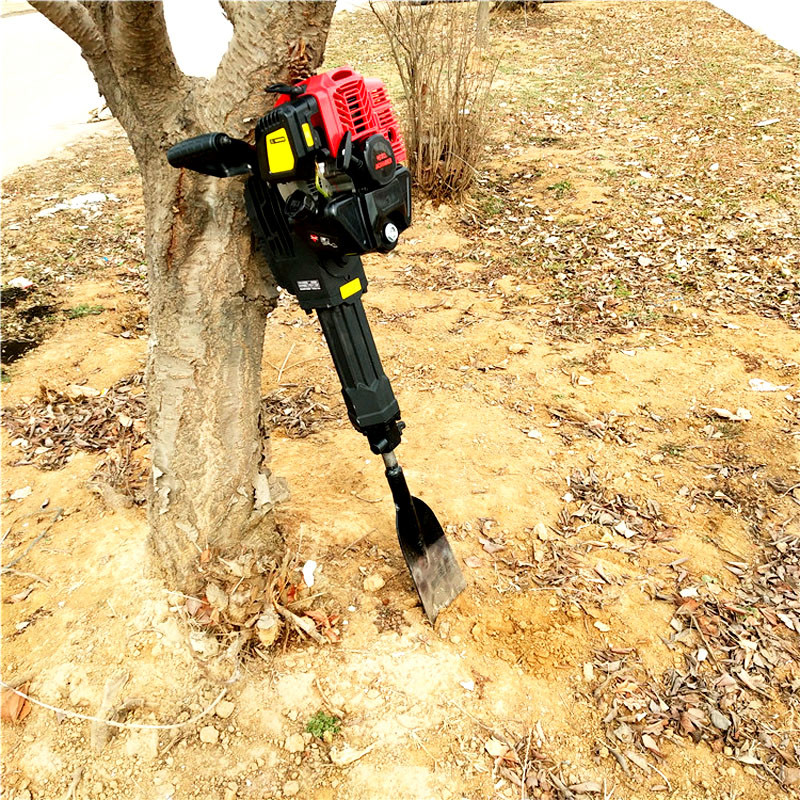 Summer beach concept