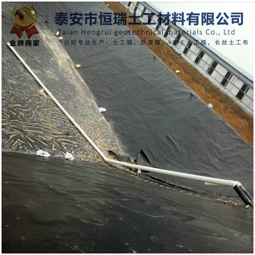化粪池防渗膜哪里有 1.2mmHDPE防渗膜批发价多少