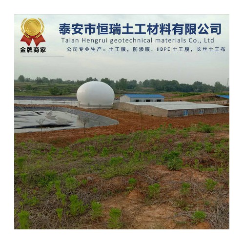 自贡0.75mm防渗膜 0.75mmHDPE土工膜定制加工