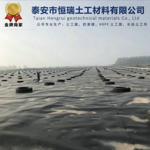 化工污水池防渗土工膜