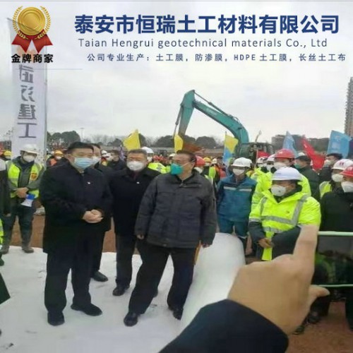 0.20mmHDPE土工膜 土工膜价格