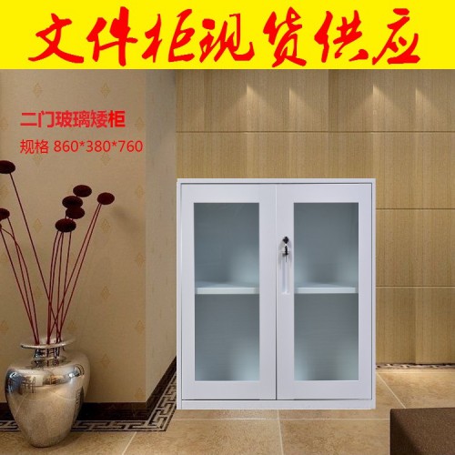文件柜 二门文件柜