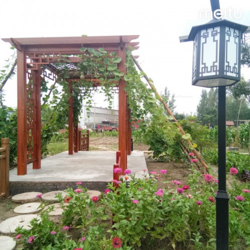 铝合金葡萄架 防腐葡萄架 庭院简易葡萄架