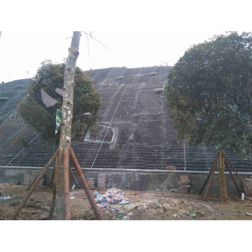 边坡防护网33是指什么      边坡防护网有什么作用