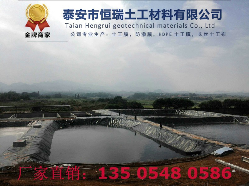 滨河LLDPE土工膜直角撕裂强度好