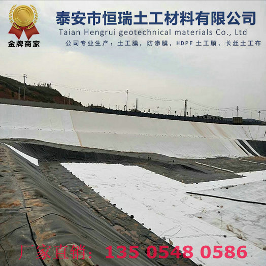 300g长丝复合土工膜