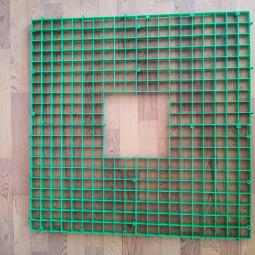 树篦子 塑料树篦子厂家