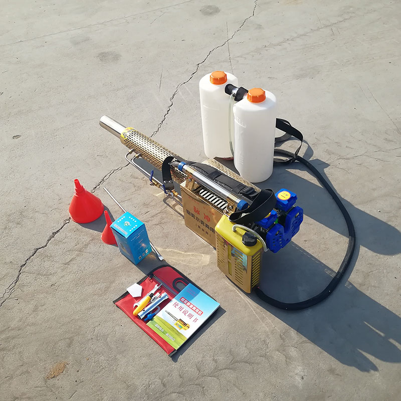 Summer beach concept