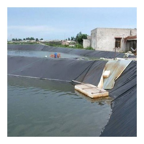 养殖防渗膜 河道护坡PE土工膜