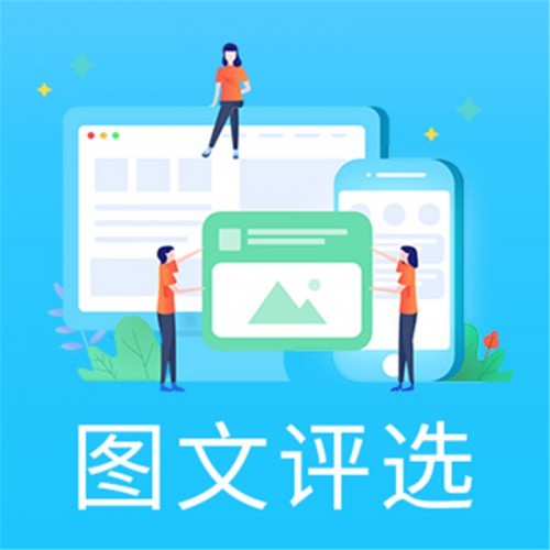 投票系统 网络投票系统 在线投票系统