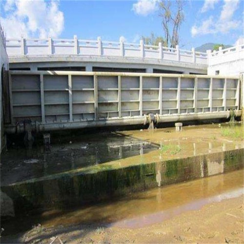 海鹰拦水坝 定制 大跨度钢坝 双向挡水钢闸门 液动钢闸门