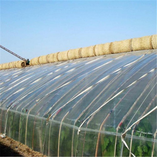 现代日光温室大棚建设 日光温室结构特点 日光温室设计厂家